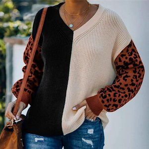 FRANCESCAS Fab'Rik Leopard Print Colorblock Sweater